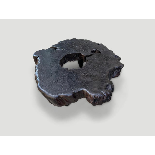 Andrianna Shamaris Century Old Teak Wood Coffee Table For Sale - Image 14 of 18