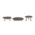 Elevate your living space with the charming Tree Disc Pedestal Tray Set. Crafted from durable wood and iron, these footed...