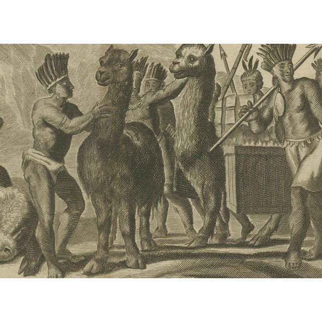 Gold Arnoldus Montanus, Peruvian Llamas, 1671, Engraving For Sale - Image 8 of 10