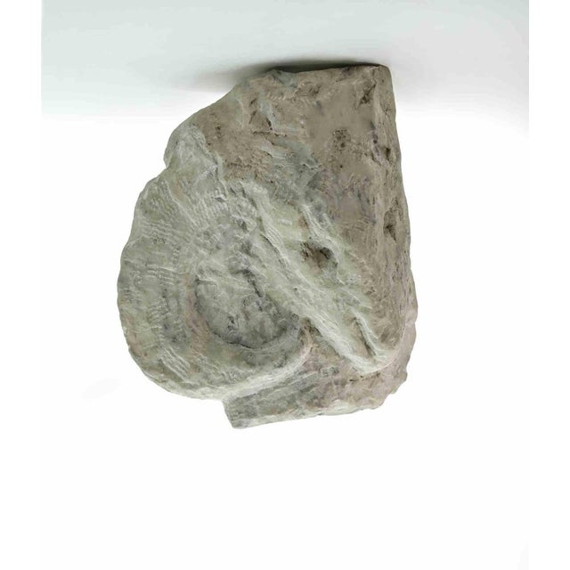 Sirio Pellegrini, Aries Head Sculpture, 1960s, Stone For Sale - Image 6 of 6