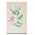 Set of 8 Antique Botanical Prints | Pink & Green Wildflower Studies For Sale - Image 9 of 10