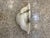 Alabaster 1950 Alabaster Shell Shape Sconces - a Pair For Sale - Image 8 of 8
