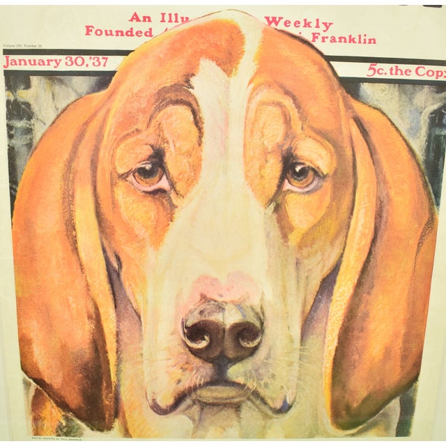 The Saturday Evening Post January 30, 1937 Magazine Cover of a Fox-Hound by Paul Bransom For Sale In New York - Image 6 of 7