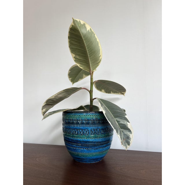 Fantastic ceramic piece by Bitossi, designed by Aldo Londi. A true find for collectors or simply for those who appreciate...