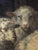 D. Van Lokhorst, Sheep in the Stable, 19th Century, Oil on Canvas For Sale - Image 8 of 18