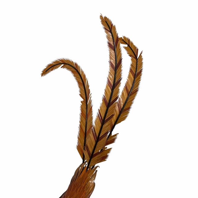 Cinnamon Vintage Mid Century Handmade Wooden Pheasant For Sale - Image 8 of 10