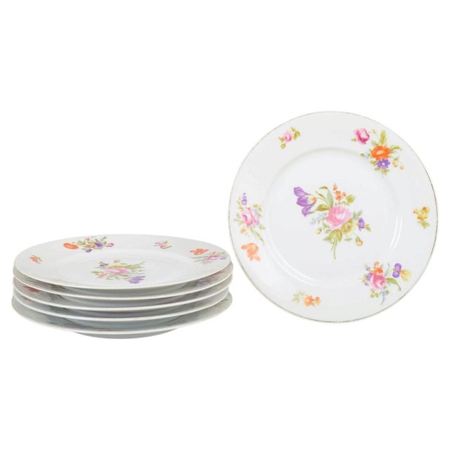 1930s Porcelain Dinner Plates in Else Pattern from Rosenthal, 1930s, Set of 6 For Sale - Image 5 of 5