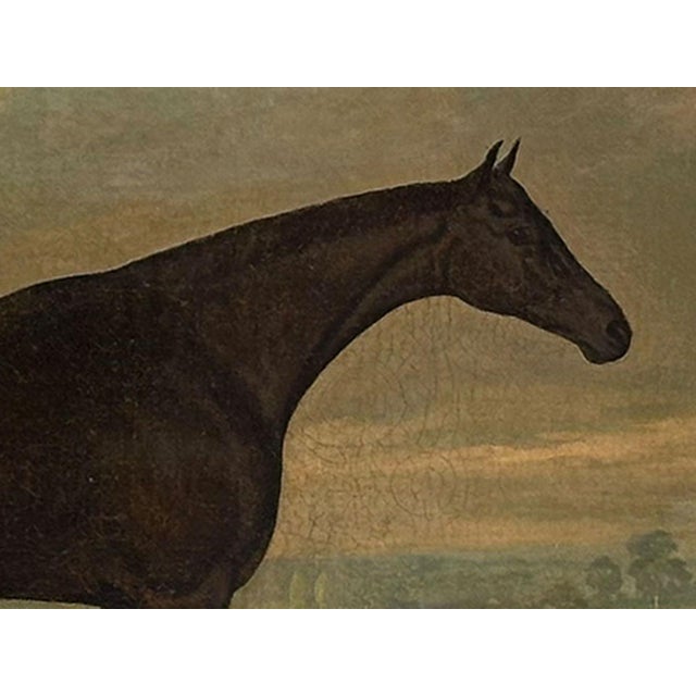 1820s “Dark Bay Hunter in a Landscape” Antique Equestrian Horse Painting Oil on Canvas by James Barenger the Younger For Sale In Minneapolis - Image 6 of 12