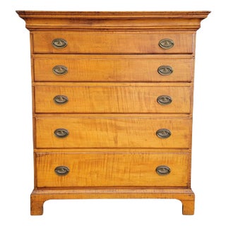 Antique American Chippendale Tiger Maple Tall Chest / Dresser For Sale