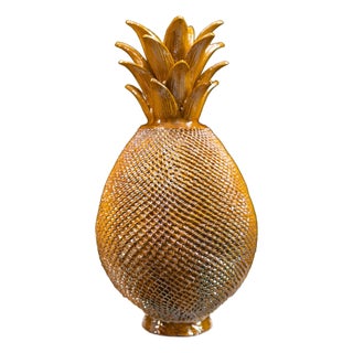 Mexican Pineapple For Sale