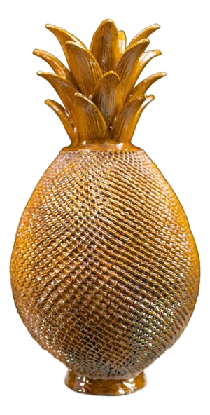 Mexican Pineapple