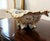 Elegant vintage porcelain centerpiece bowl featuring a dramatic scalloped silhouette, ornate raised shell-form feet, and...