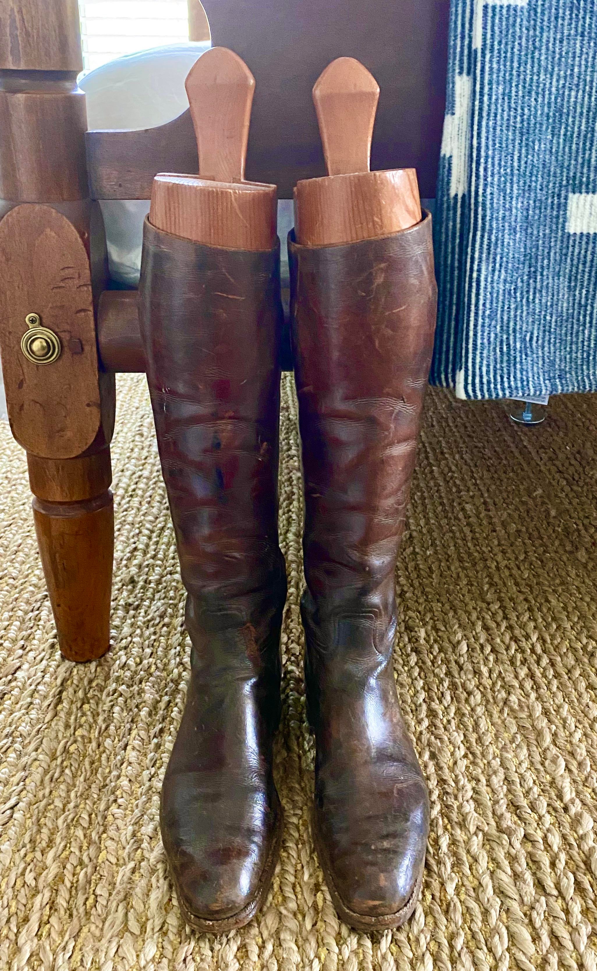 equestrian tall boot trees