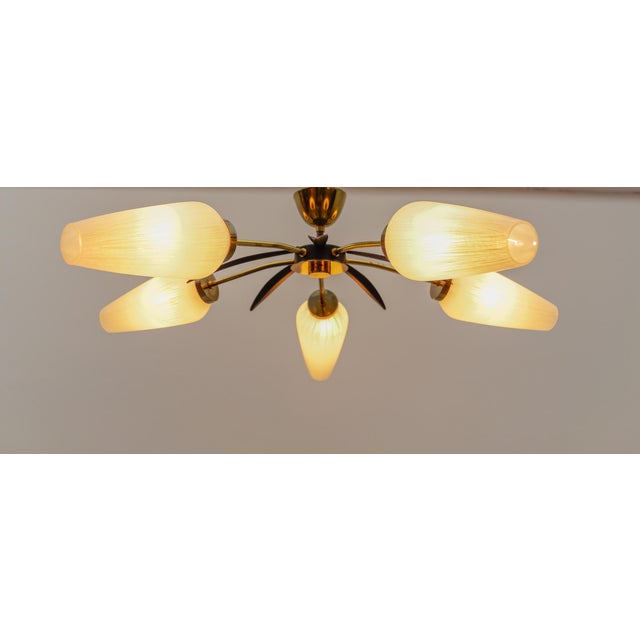 Gold Mid-Century Modern 5-Armed Brass and Glass Sputnik Lamp, 1950s For Sale - Image 8 of 13