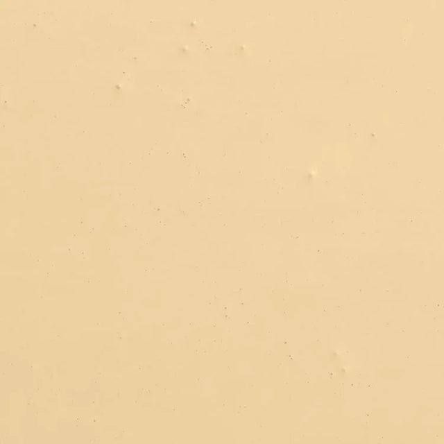 Contemporary BACKDROP Standard Finish Interior Paint in Miami Parasol (Muted, Soft Yellow) - 1 Gallon For Sale - Image 3 of 5
