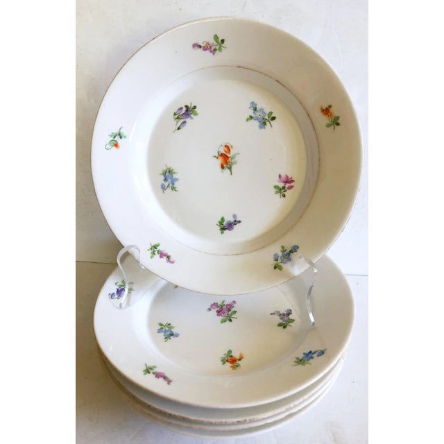 1960s Continental Spring Floral Plates, Set of 5 For Sale - Image 5 of 5