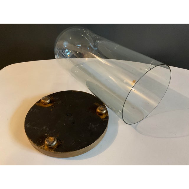 Antique Hand Blown Glass Cloche With Wooden Stand | Chairish