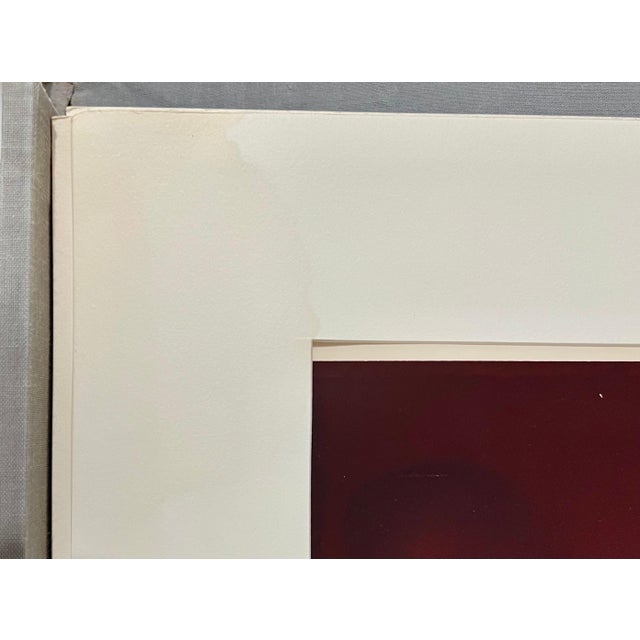 Neal Slavin, Vintage C Print Groups in America Neal Slavin Color Photograph Ektacolor Photo, 1979 For Sale - Image 10 of 12