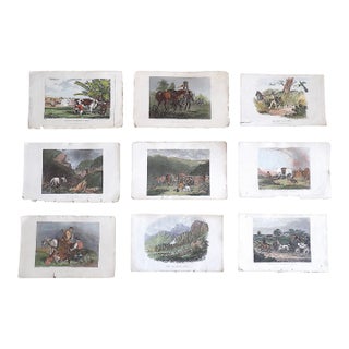 Antique Mid 19th Century Hand Colored Sporting/Equine Engraved Views - Set of 9 For Sale