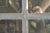 Traditional Hand Silvered Eight Pane Wood Reclaimed Window Mirror For Sale - Image 3 of 7