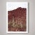 Not Yet Made - Made To Order Southwest Desert Landscape With Cactus Photograph – 32" X 48 For Sale - Image 5 of 5