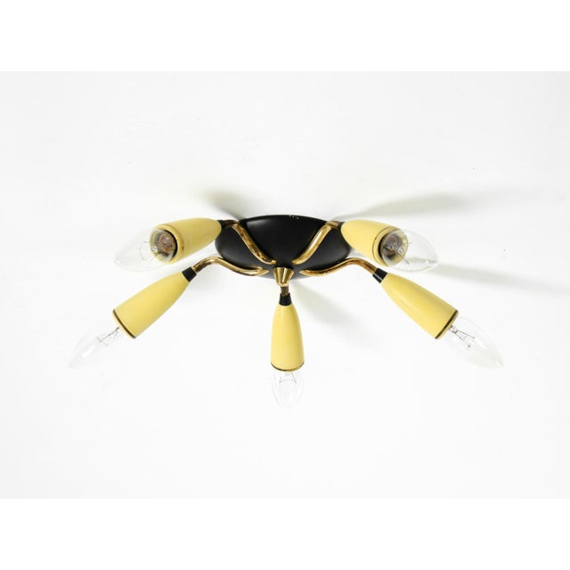 Mid-Century Modern Mid-Century Modern 5-Arm Sputnik Ceiling Lamp, 1950s For Sale - Image 3 of 18