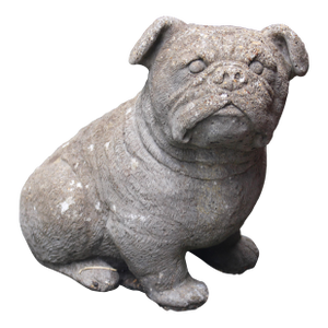 Mid-20th Century English Cast Stone Bull Dog Garden Figure