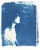 This is a giclee print from an original cyanotype, which was pulled from a negative captured with a pinhole camera and a...