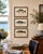 1900 - 1909 White Bass, Bonito & Weakfish - Original Fish Prints by Denton Circa 1903, S/3 For Sale - Image 5 of 5