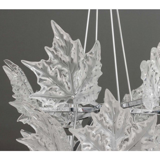 Transparent Lalique Champs-Elysees Two-Tier Chandelier For Sale - Image 8 of 18