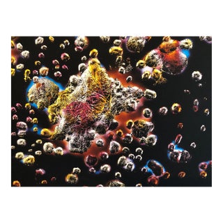 Victor Raphael, Space Field, Digital Iris Print Muse X Large Photograph on Heavy Paper For Sale