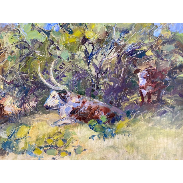 Realism "Afternoon Shade"~ Lorie Batson, Original Oil Painting. A Sunlit Scene That Depicts Cows Resting Under Mesquite Trees in Texas. For Sale - Image 3 of 13