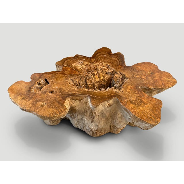 Brown Andrianna Shamaris Impressive Organic Teak Wood Coffee Table For Sale - Image 8 of 18