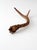 Vintage Natural Deer Antler For Sale - Image 4 of 13