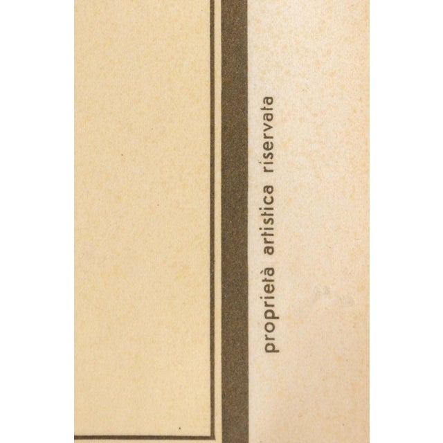 1950s Educational Poster Depicting Reptiles and Amphibians from G.B. Paravia Torino, 1959 For Sale - Image 5 of 8