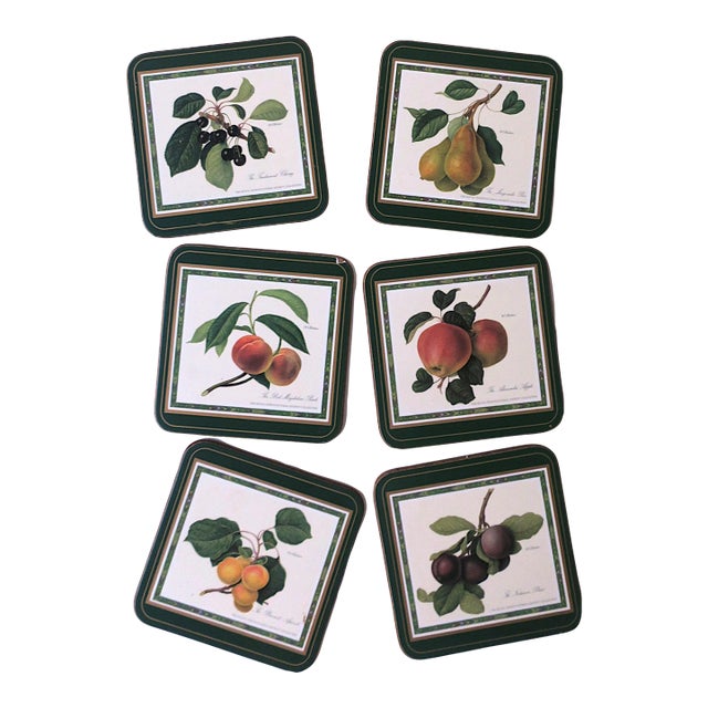 Botanical Fruit Coasters, Set of 6 For Sale