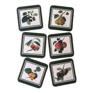 Botanical Fruit Coasters, Set of 6