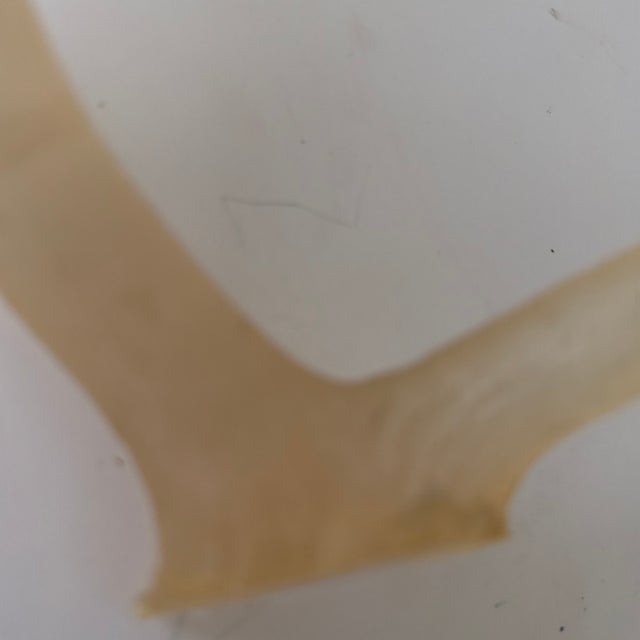 Plastic Faux Translucent Amber Deer Antler For Sale - Image 7 of 8