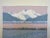 Sky Blue 1991 "Mountain Wildflowers" Acrylic Painting by Dorothy Talbott, Framed For Sale - Image 8 of 10