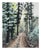 Wintery Day Winter Theme Acrylic Painting 8 X 10" Nature Wall Art Unframed For Sale