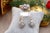 Metal Ring and Earring Set in 19.2k Gold with Diamond Setting, Set of 3 For Sale - Image 7 of 8