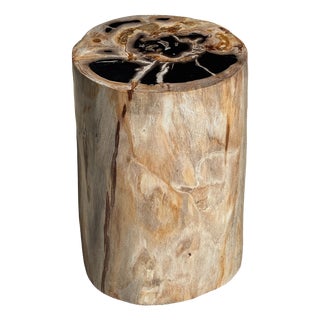 Multicoloured Petrified Wood Side Table For Sale