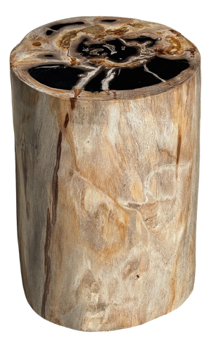 Multicoloured Petrified Wood Side Table