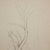 Dora Maar, Pointillist Composition, 20th-century, Ink on Paper For Sale - Image 3 of 16