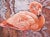2000s "Flamingo" Large Gallery Wrapped Oil Painting by Judith Moore For Sale