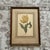 The image shows an antique hand-colored botanical copperplate engraving titled "Parquit Monstre" (representing a parrot...