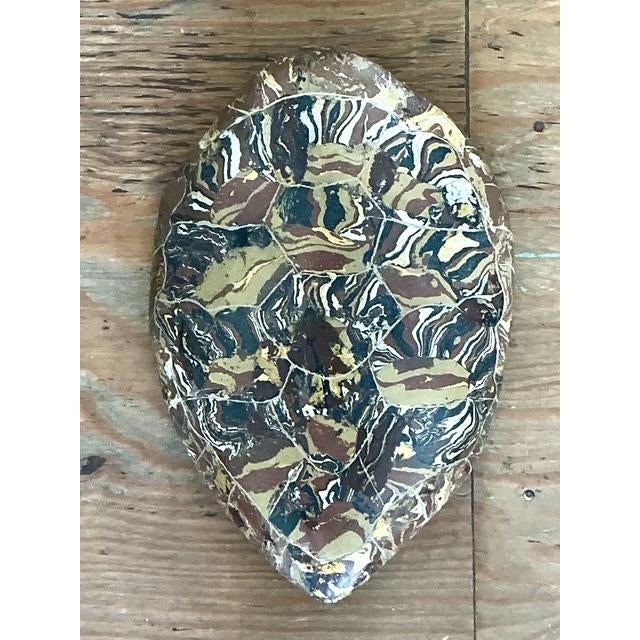 Vintage Italian Scagliola Artisan Made Pigmented Plaster Turtle Shell For Sale In West Palm - Image 6 of 10