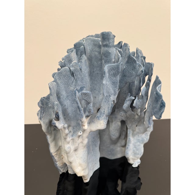 Coastal Very Large Specimen of Blue Coral For Sale - Image 3 of 12