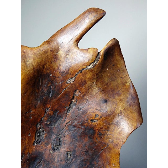 Large Bowl in Dark Raw Wood, 1950s For Sale - Image 15 of 17