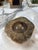 1970s Vintage-Style Brown Marble Ashtray – Hand-Carved Organic Shape, 3 Cigar Rests For Sale - Image 5 of 6